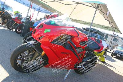 media/Oct-14-2023-TrackXperience (Sat) [[0517685739]]/Around the Pits/